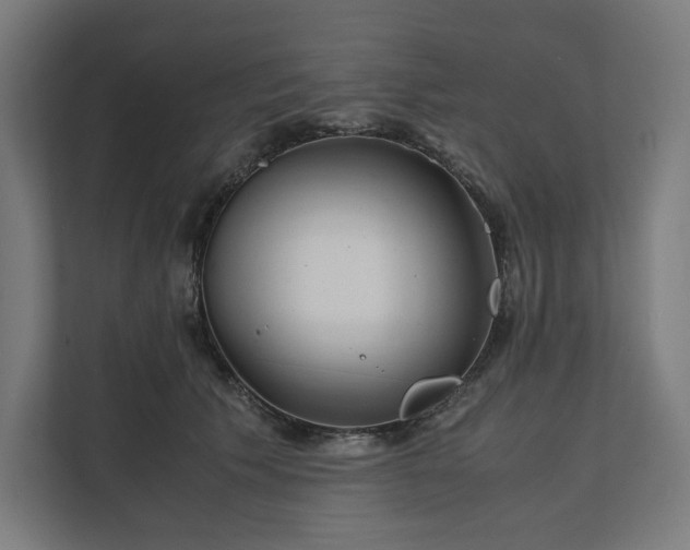 X0000112150609200908211415