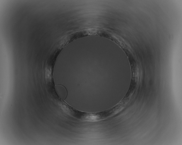 X0000112150610200908211415