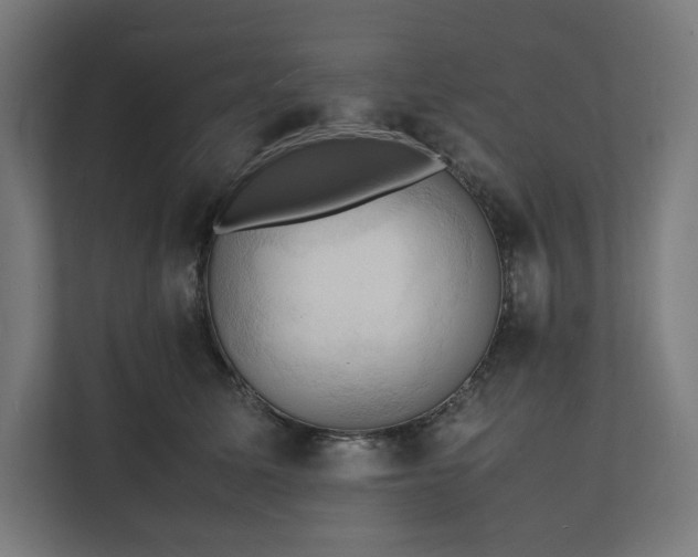X0000112150611200908211415