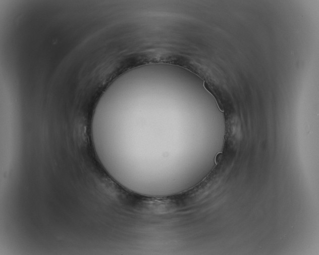 X0000112150615200908211415