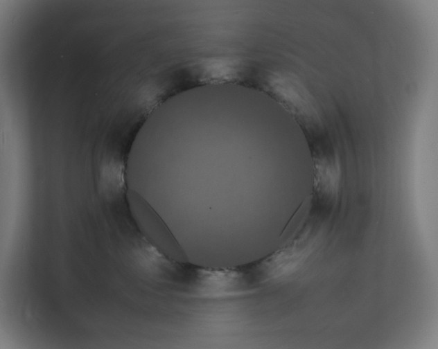 X0000112150621200908211415