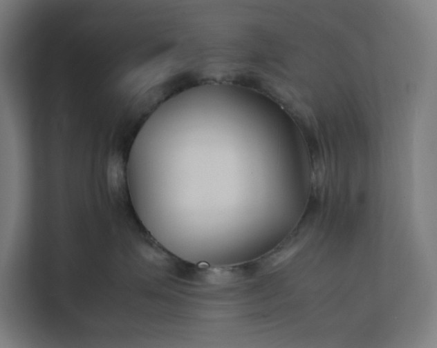 X0000112150623200908211415