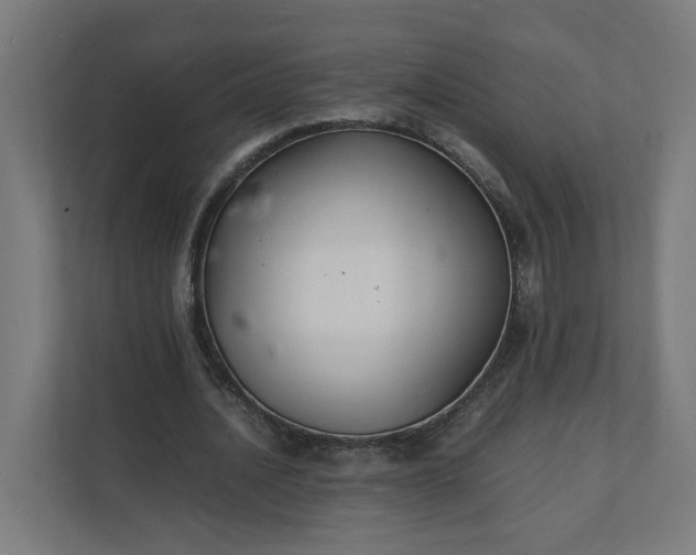 X0000112150628200908211415