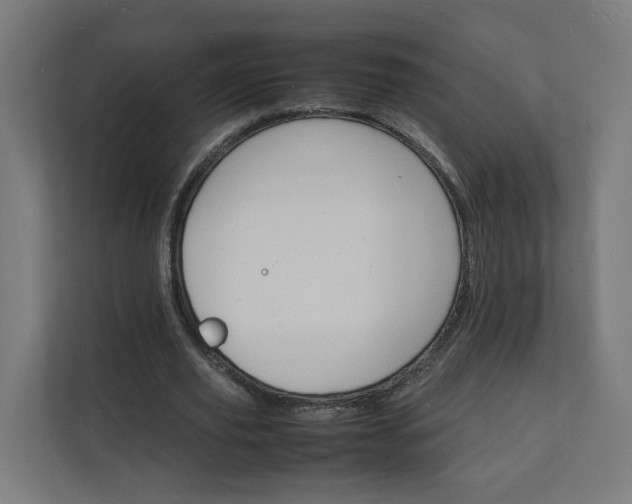 X0000112150629200908211415