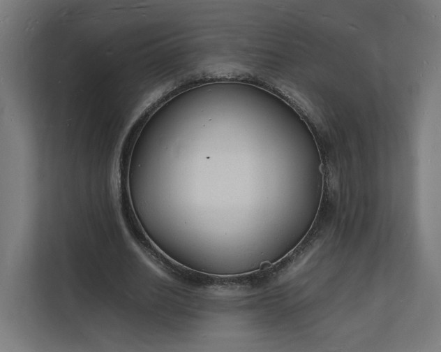 X0000112150630200908211415