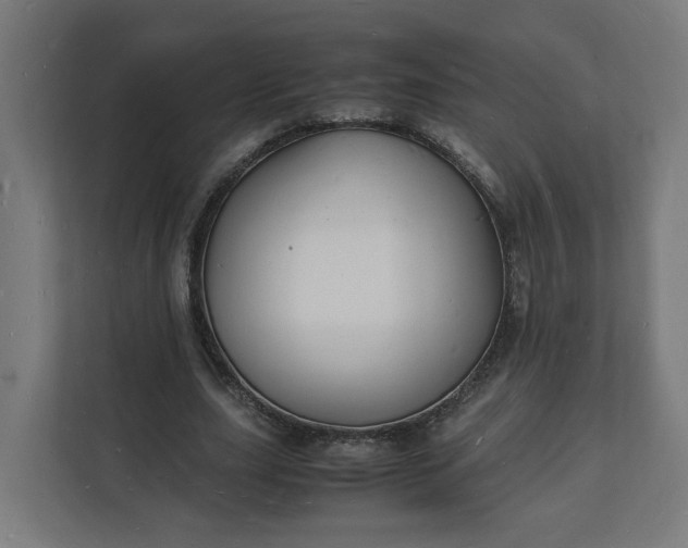 X0000112150631200908211415