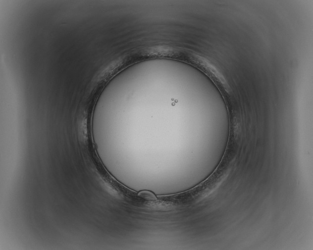 X0000112150633200908211415