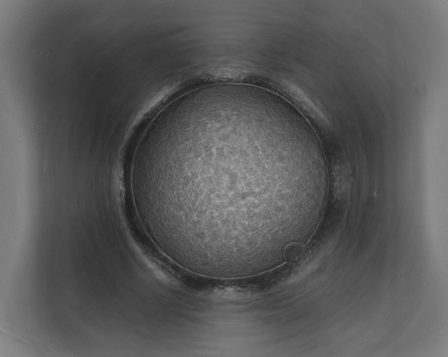 X0000112150634200908211415