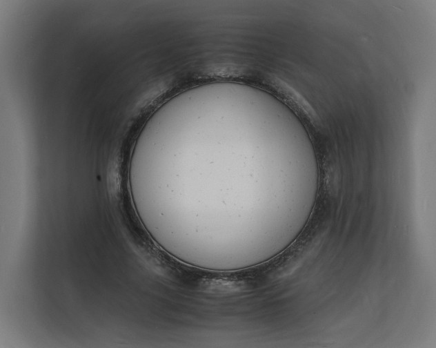 X0000112150635200908211415
