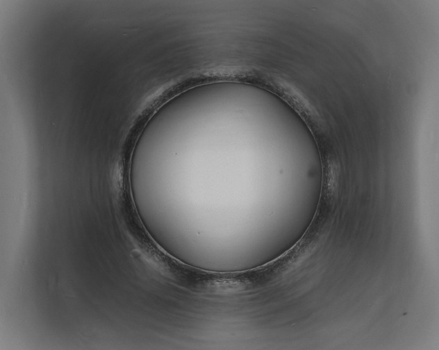 X0000112150636200908211415