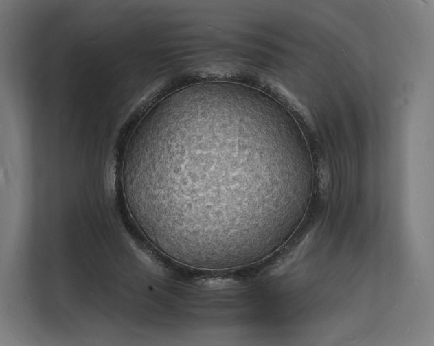 X0000112150637200908211415