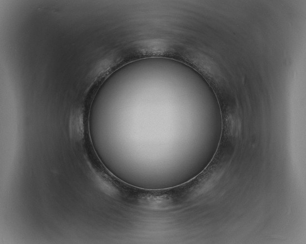 X0000112150638200908211415