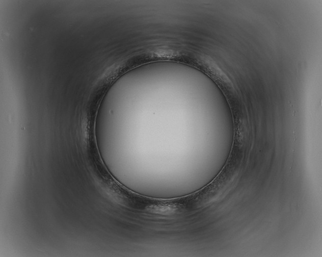 X0000112150639200908211415