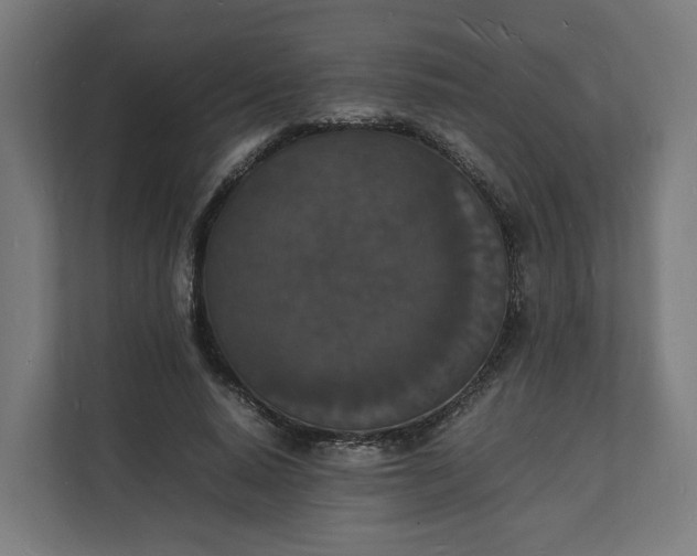 X0000112150640200908211415