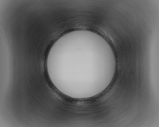 X0000112150641200908211415