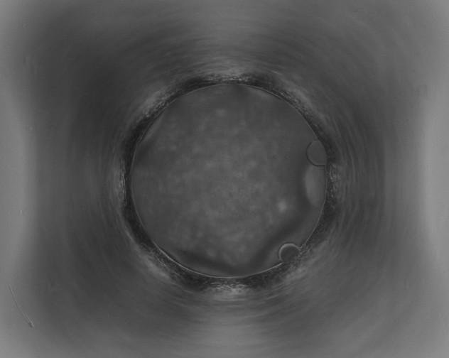 X0000112150642200908211415