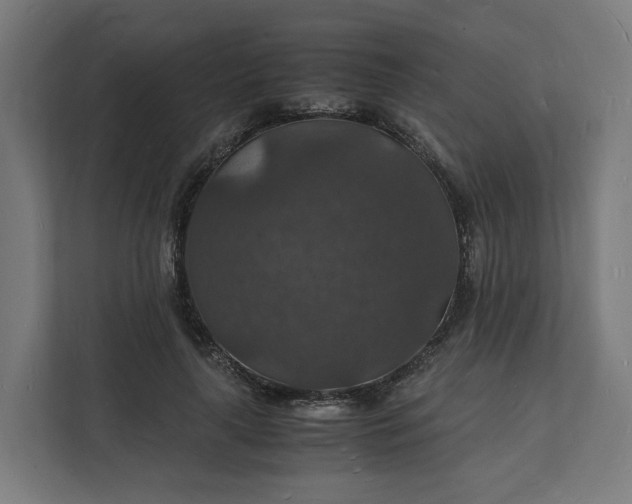 X0000112150643200908211415