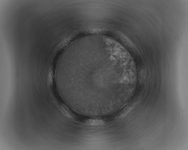X0000112150644200908211415