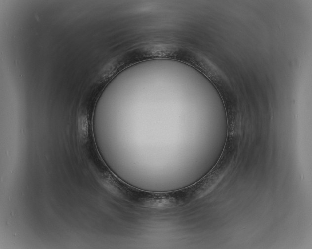 X0000112150646200908211415