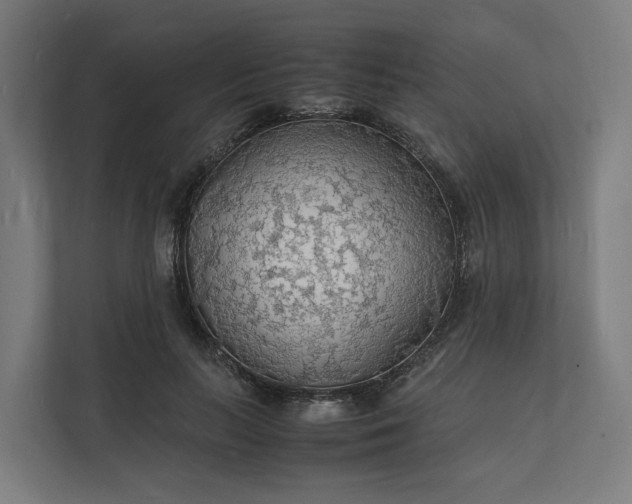 X0000112150647200908211415