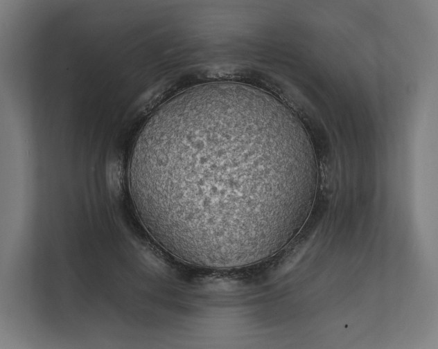 X0000112150648200908211415