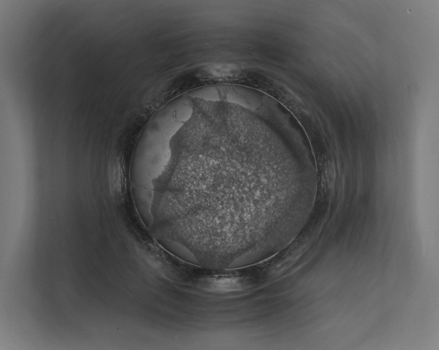 X0000112150651200908211415