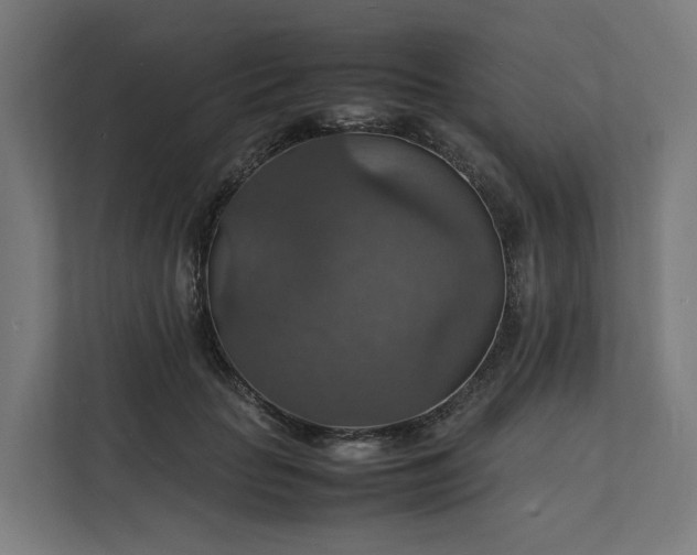 X0000112150653200908211415