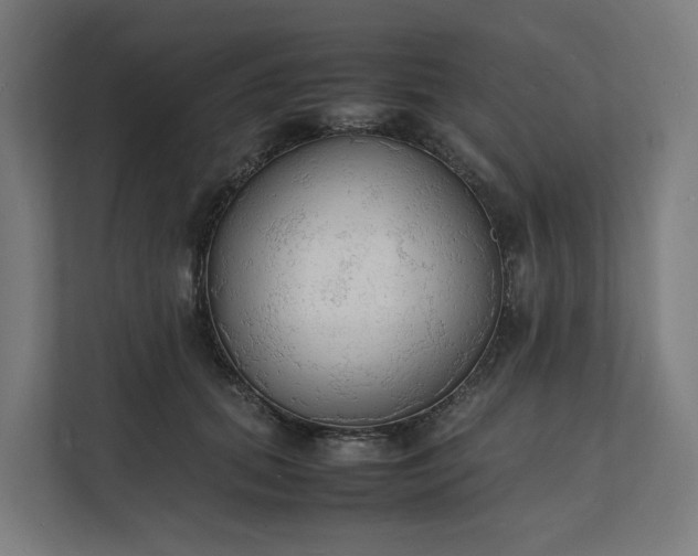 X0000112150655200908211415