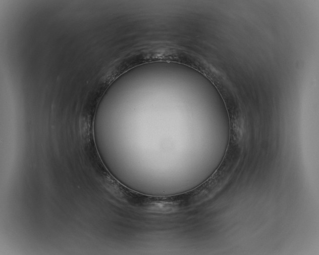 X0000112150657200908211415