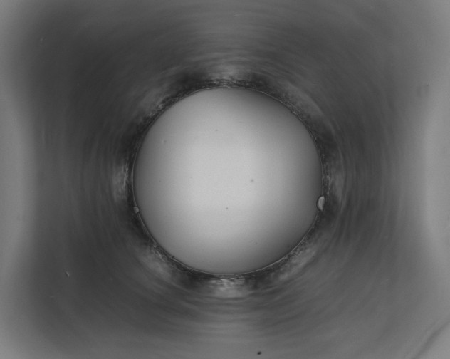 X0000112150660200908211415