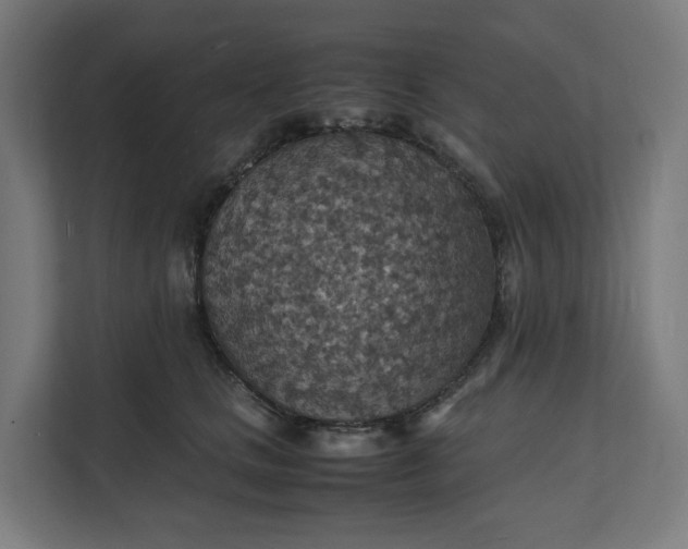 X0000112150661200908211415