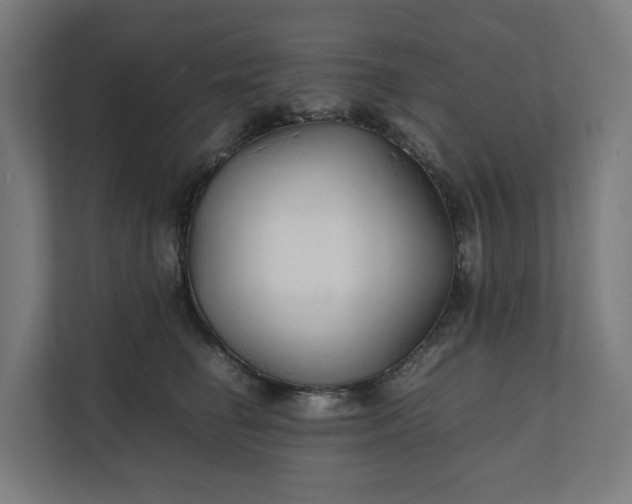 X0000112150662200908211415