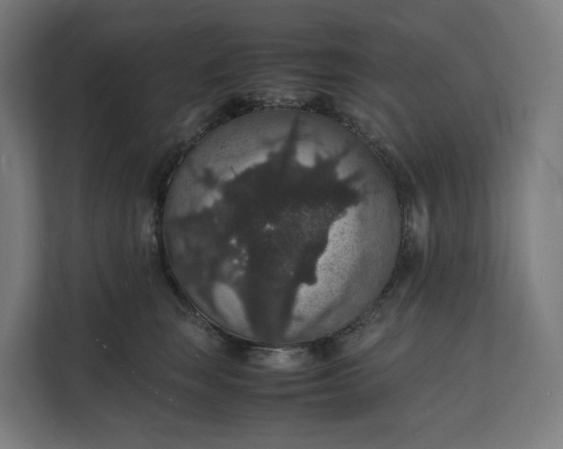 X0000112150663200908211415