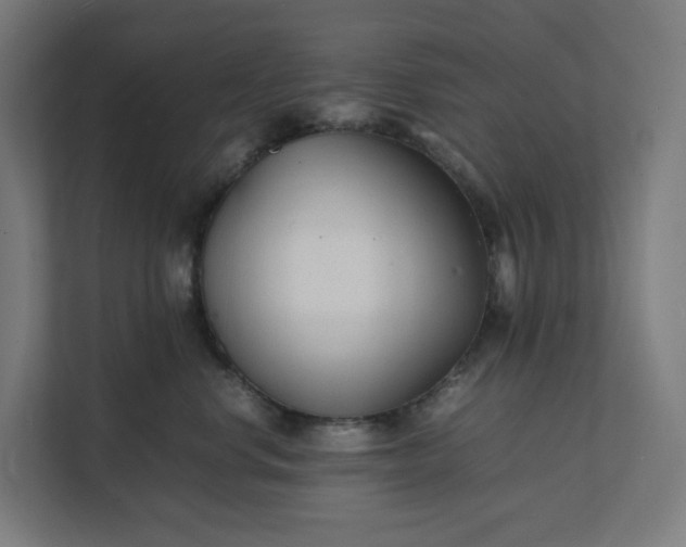 X0000112150668200908211415