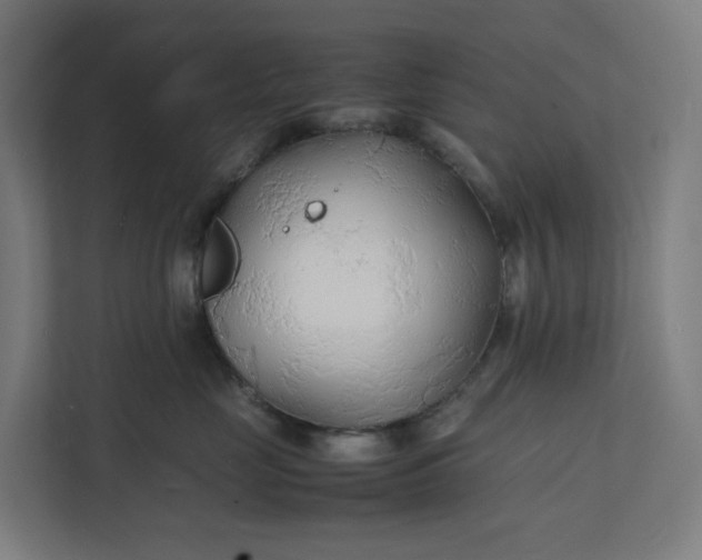 X0000112150669200908211415