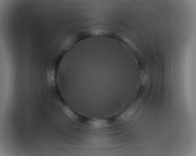X0000112150670200908211415