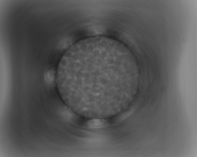X0000112150672200908211415