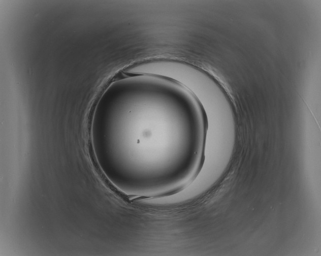 X0000112150673200908211415