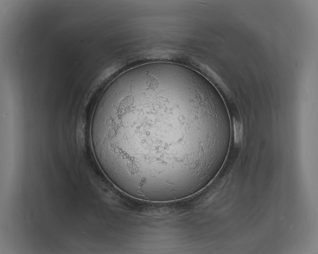X0000112150675200908211415