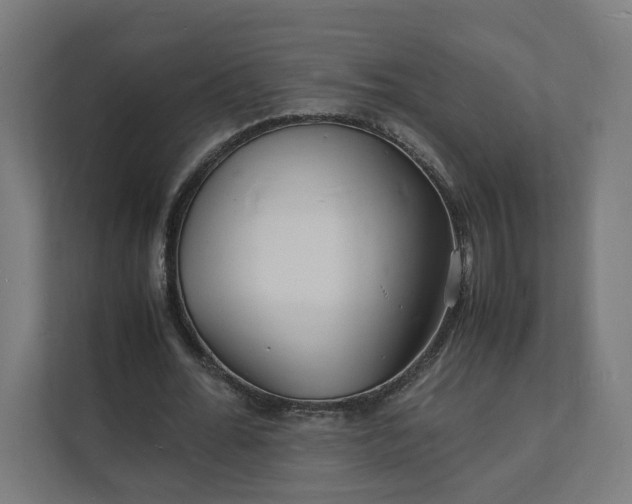 X0000112150676200908211415