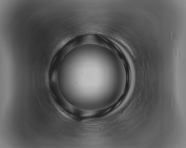 X0000112150677200908211415