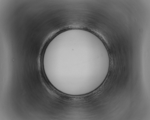 X0000112150678200908211414
