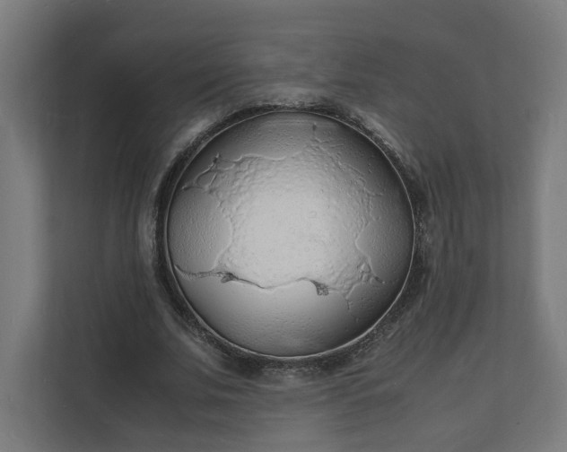 X0000112150679200908211414