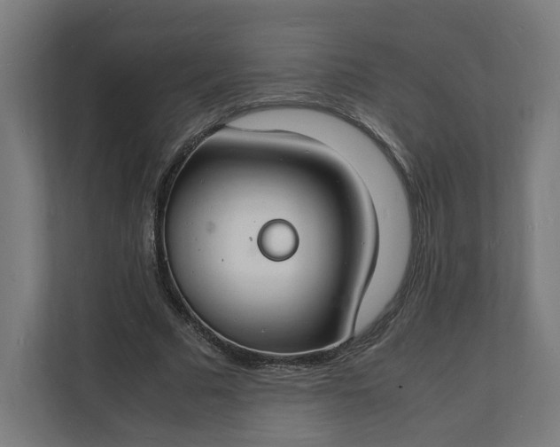 X0000112150681200908211414
