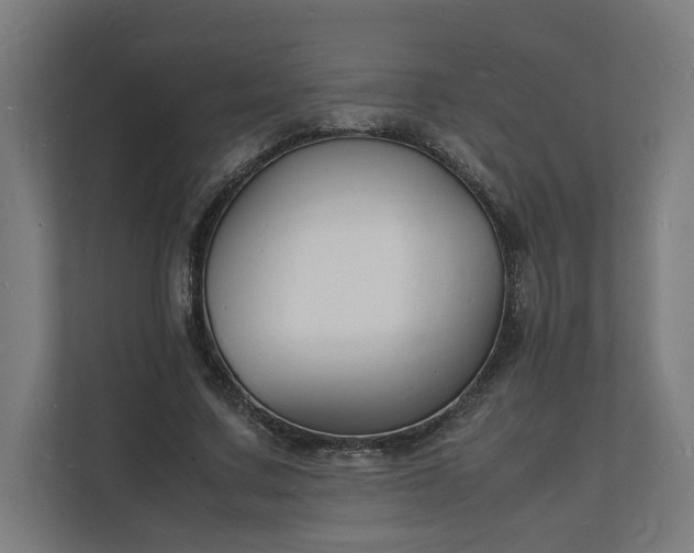 X0000112150683200908211414