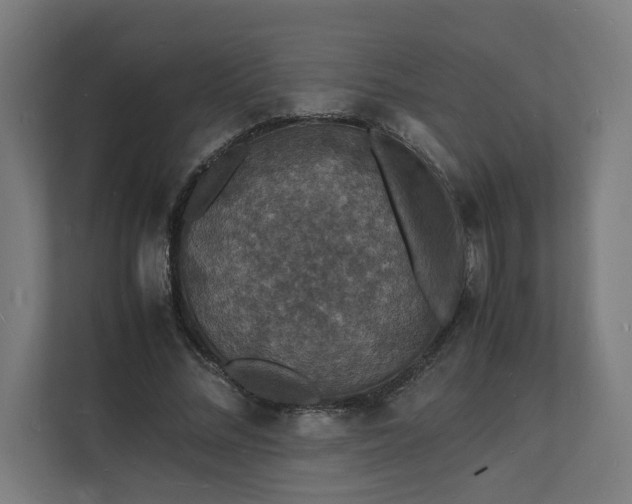 X0000112150684200908211414