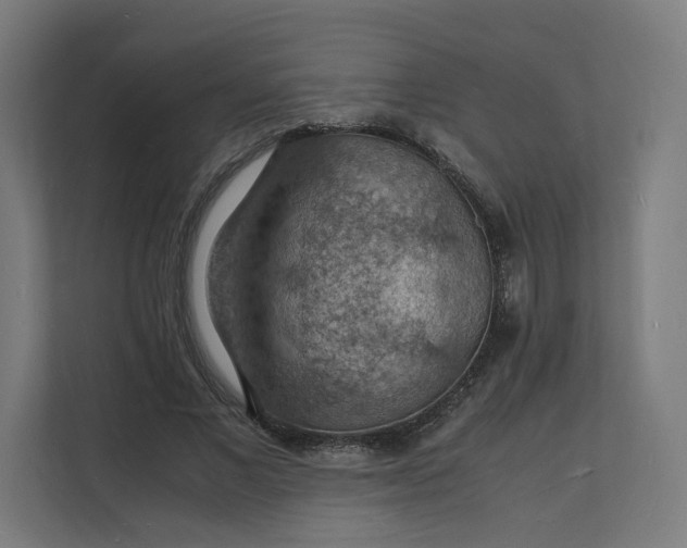 X0000112150685200908211414