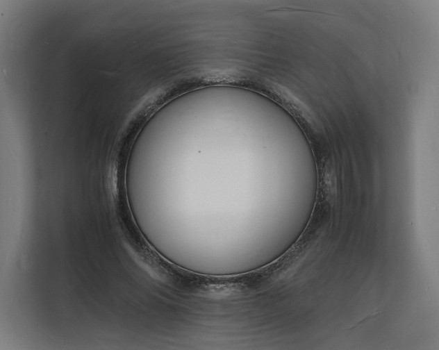 X0000112150686200908211414