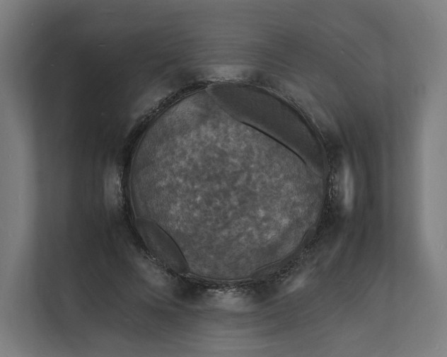 X0000112150688200908211414