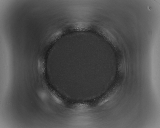 X0000112150689200908211414